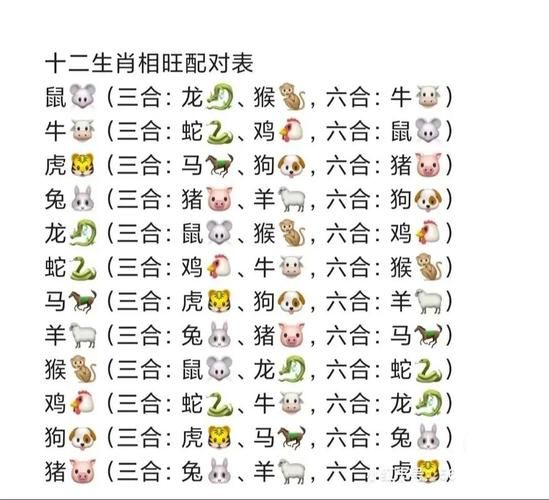 小属相有哪些生肖和属相