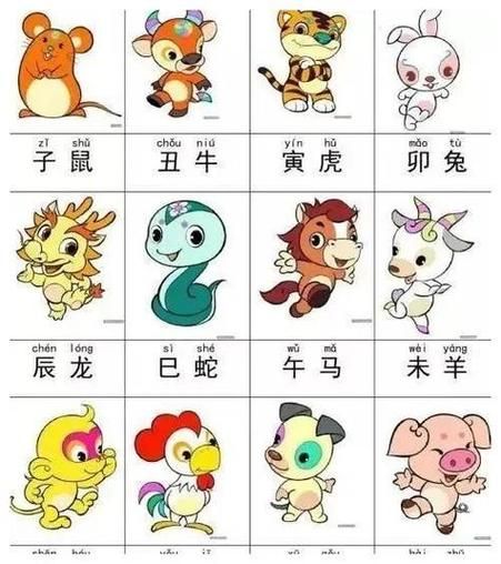 犯规属相是什么生肖