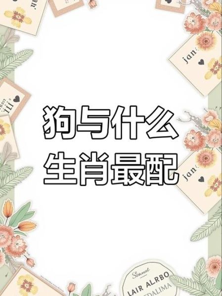 属狗属相合的生肖（属狗的和什么属相最配？）