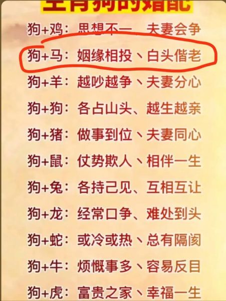 属狗属相合的生肖（属狗的和什么属相最配？）