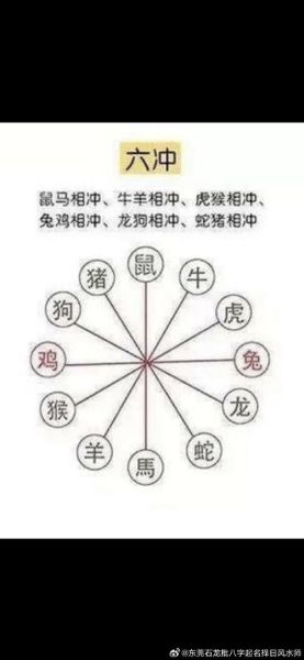 属相合相冲生肖（属相合相冲生肖关系大全）