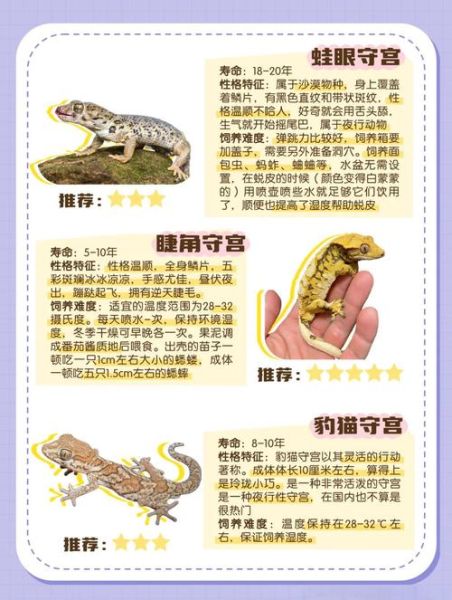 守宫生肖是什么属相（守宫生肖是什么属相？新手指南！）