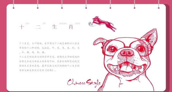 十二生肖属相小说（十二生肖属相小说的正确打开方式）