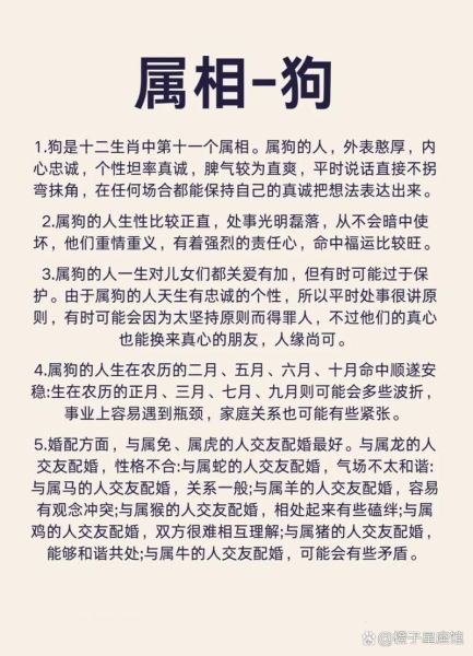 狗属相的生肖是什么（狗属相的生肖性格揭秘）