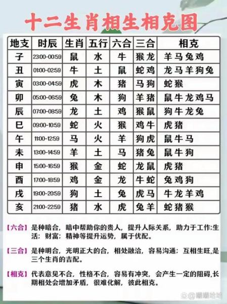 属猪的属相克什么生肖（属猪相克生肖揭秘）