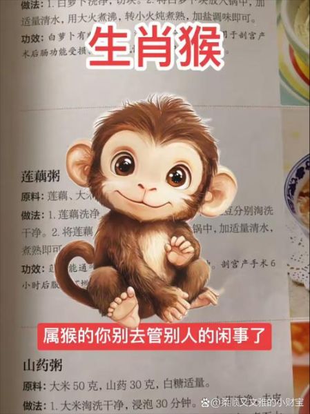 生肖猴犯什么属相（生肖猴犯什么属相？新手避坑指南）