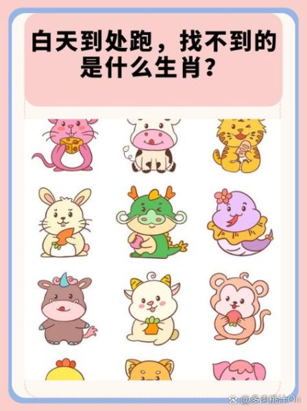 202属相是什么生肖（202属什么生肖的简易查询指南）