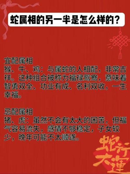 李直属什么生肖属相（李直属生肖属蛇吗？小白速查指南）