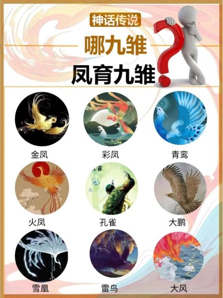 凤雏属相是什么生肖（凤雏是什么生肖？答案一看就懂）