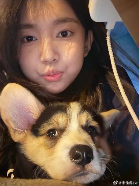 宋小睿生肖属相（宋小睿生肖属相是什么？）