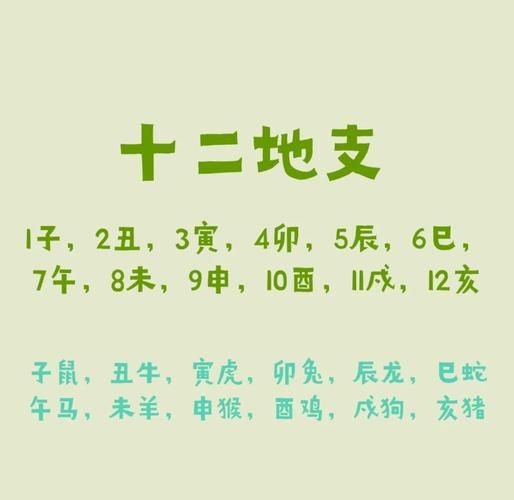 五行属相与生肖属相相克（五行属相与生肖相克对照表）