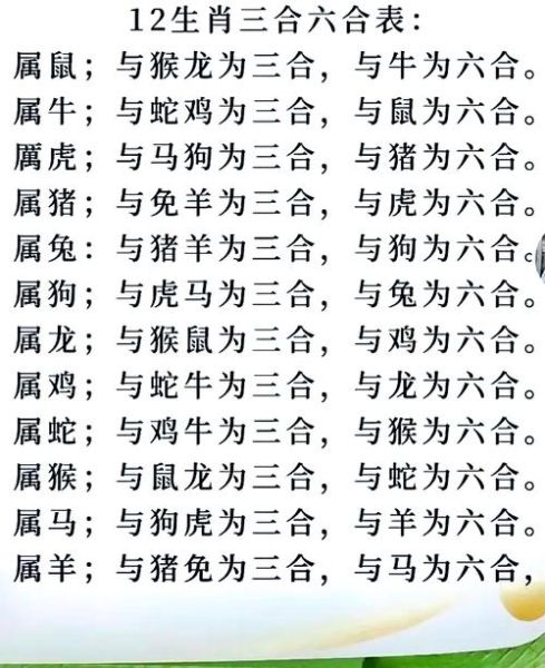 同气生肖属相（同气生肖哪几个属相是六合贵人？）