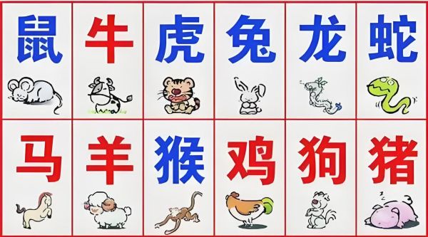 2005什么生肖属相（2005年属什么生肖？新手必看）