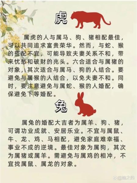 生肖属相姻缘书（2025新版生肖属相姻缘书免费下载）