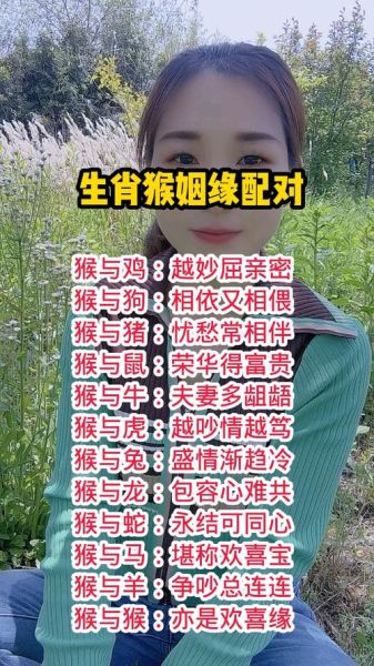属相婚姻生肖配对查询表（属猴婚配什么生肖最好婚姻配对表）