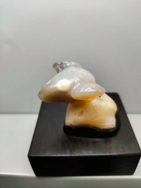 戈壁石生肖属相雕刻（戈壁石生肖属相怎么选？新手避坑指南）