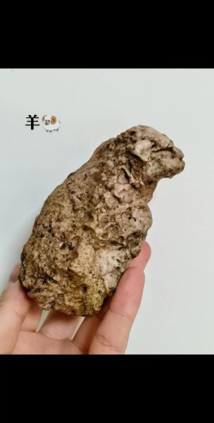 戈壁石生肖属相雕刻（戈壁石生肖属相怎么选？新手避坑指南）