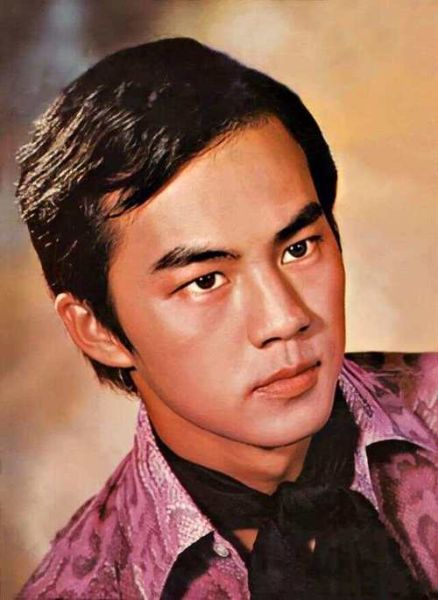 狄龙属什么生肖属相（狄龙属什么生肖属相？小白一看就懂）