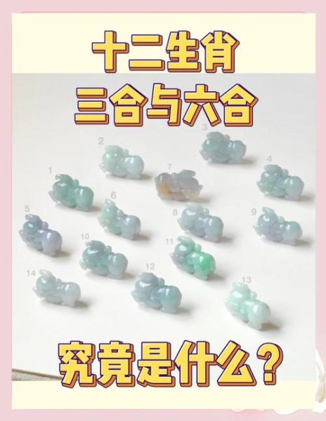 虎年宝宝属相是什么生肖