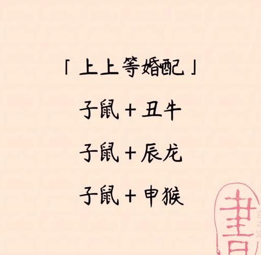 女生属相鼠的生肖绝配（女属鼠最佳婚配生肖是什么？）