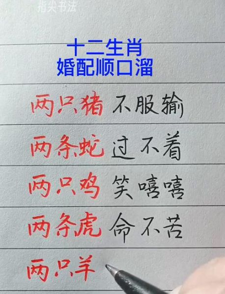 生肖属相口诀手写（生肖属相口诀手写图文教学🎨）