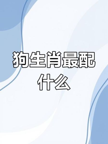 狗狗属相配什么生肖最佳