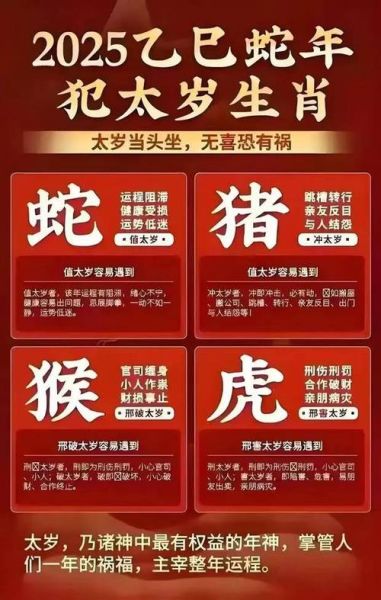 今天生肖卡属相查询（今天属什么生肖卡属相查询）