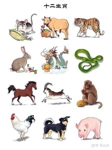 什么生肖属相是禽（禽类生肖到底属什么？）