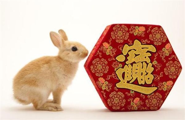 生肖属相扫把星（扫把星生肖属相是真的吗）