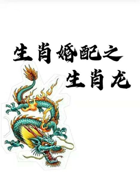 生肖龙的相配属相（生肖龙和什么属相最配）