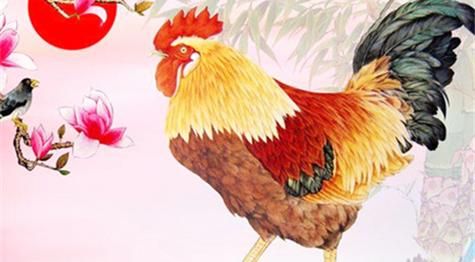 1993的生肖属相（1993年属什么生肖？小白必看😉）