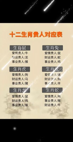 偶代表什么生肖属相