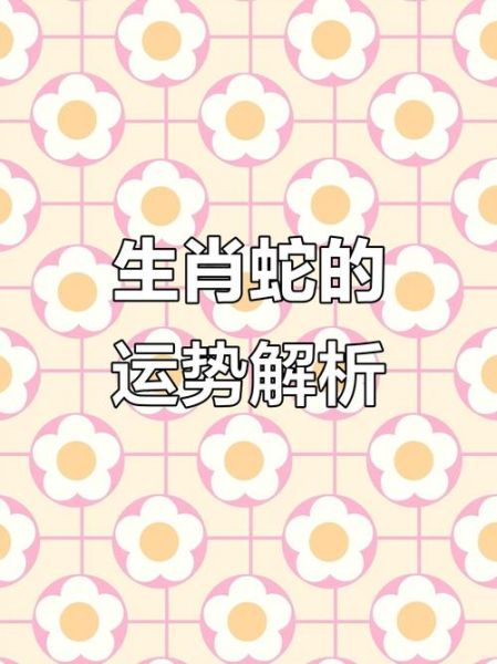 七七属什么生肖属相（七七属什么生肖一看就懂）