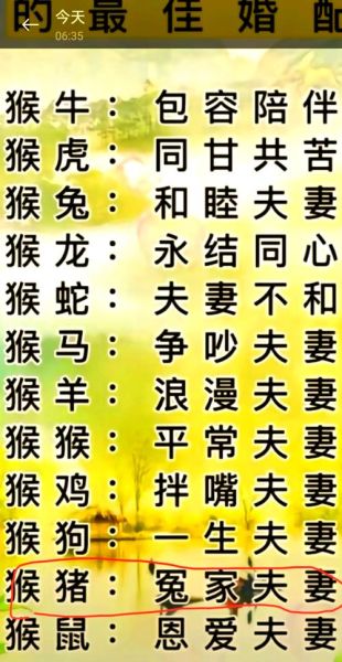 属相猪最怕的生肖（属猪最忌讳什么生肖配对）