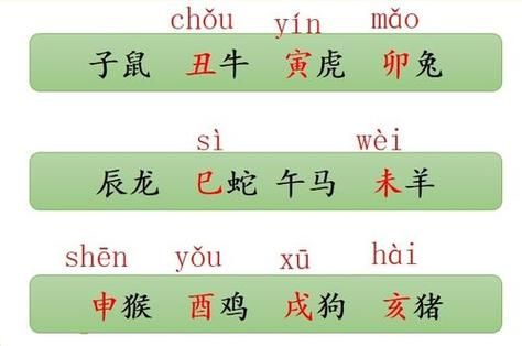 十二生肖属相表拼音（十二生肖拼音对照表新手秒查版）