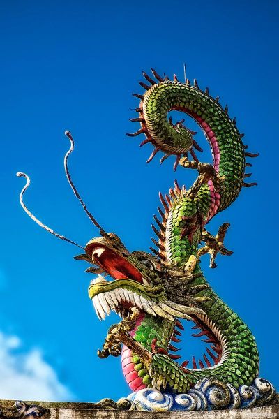 属相龙象征什么生肖（龙生肖到底代表什么？小白3分钟弄懂🐲）