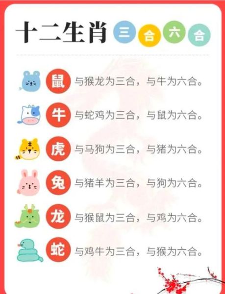 生肖六合属相（生肖六合属相表速查）