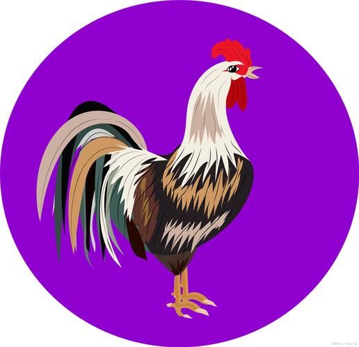 虎属相适合什么动物生肖（虎属相和什么生肖最好？）