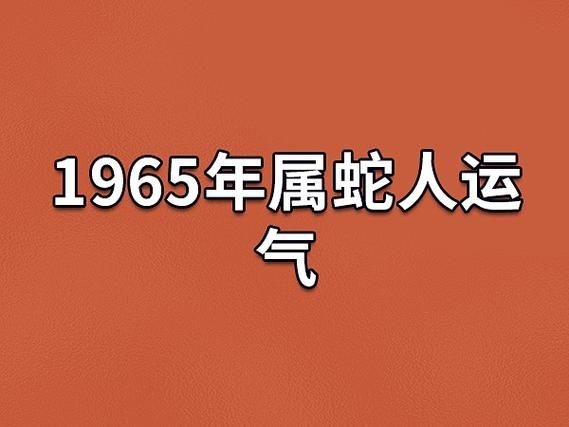 1965生肖属相（1965年生肖是什么）