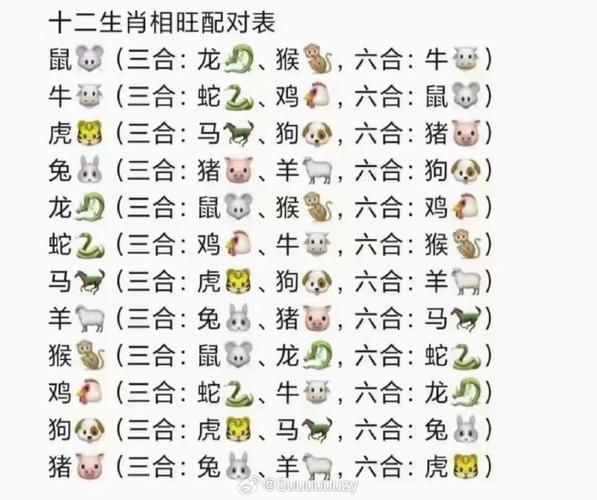 一天最有精力的属相生肖（一天最有精力的生肖排名表）