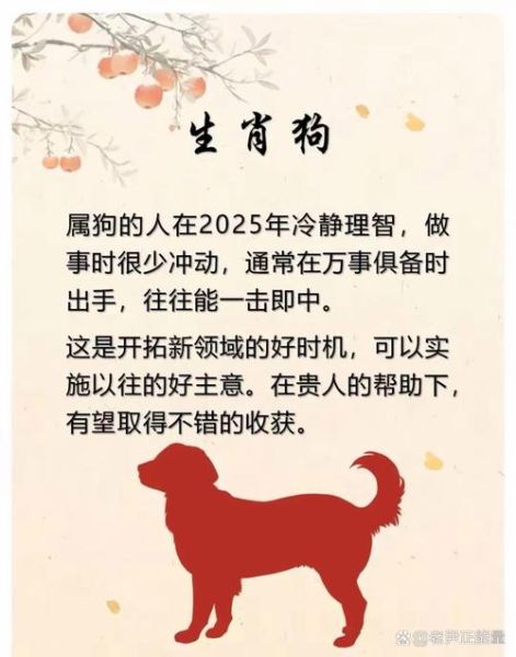 曹清属什么生肖属相（曹清属什么生肖属相？）