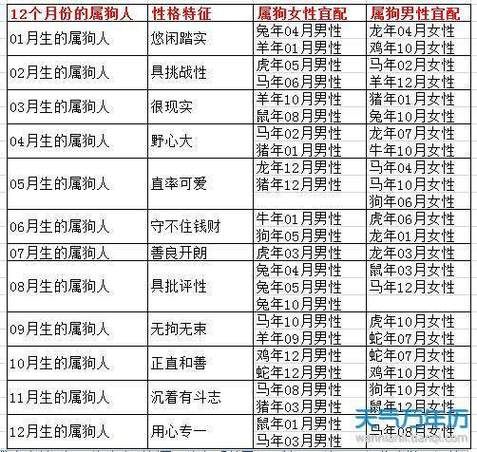 狗生肖适配属相（属狗人最佳婚配属相）