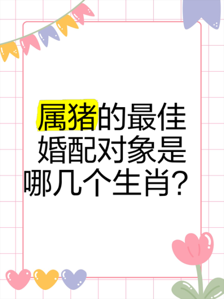 猪婚姻最佳生肖属相（属猪最佳配偶属相揭晓）