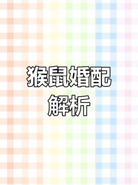 生肖猴属相相配排行(生肖猴最佳婚配属相排行榜)