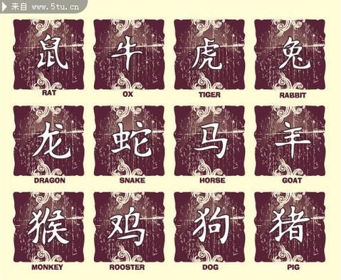 生肖属相字型（生肖属相字型是什么？）