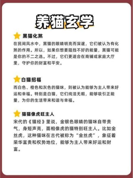 属相不在十二生肖的人（属猫的人是哪个生肖？）