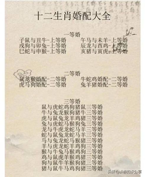 十二生肖属相与婚姻（十二生肖属相与婚姻配对表详解）