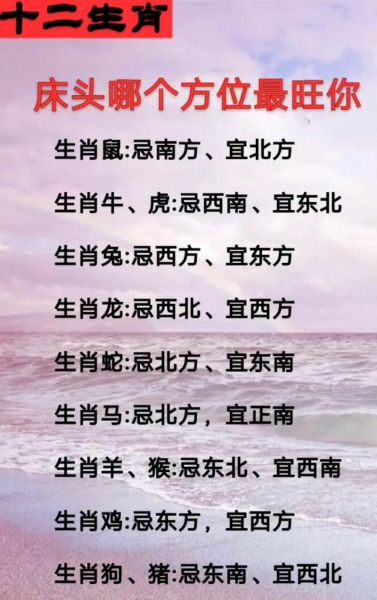 周易生肖与属相（周易生肖属相今年运势怎么看）