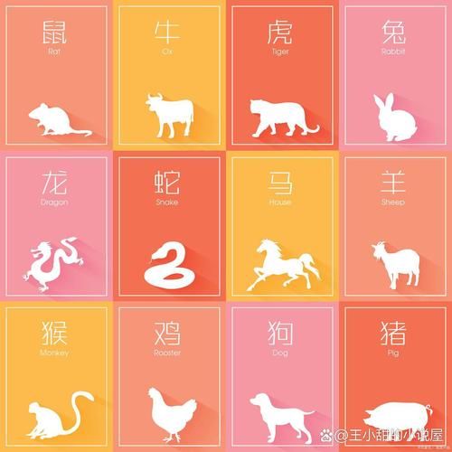十二生肖命定属相（十二生肖的命定属相怎么看😺）