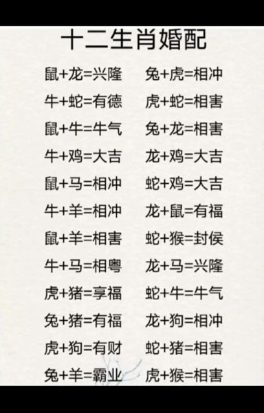 后面属相是什么生肖